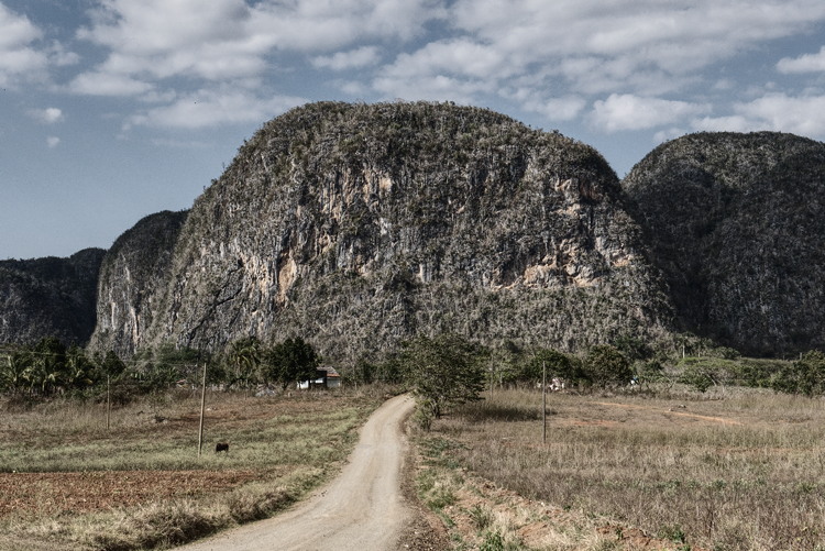 Viñales Tal, Kuba, 2018. Ein Fels. Und nichts, was ihn beeilt.